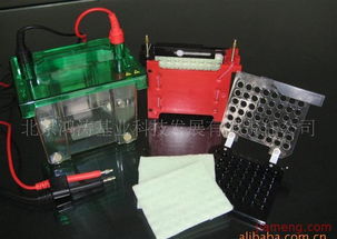 鴻濤基業(yè)化妝品加盟連鎖 開(kāi)啟創(chuàng)業(yè)新篇章，火爆招商進(jìn)行中